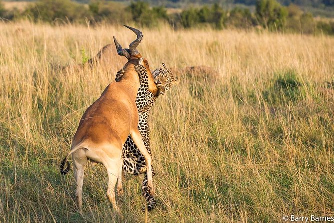 6 Day Serengeti wildebeest migration Camping Safari - Day 3: First views of the endless Serengeti