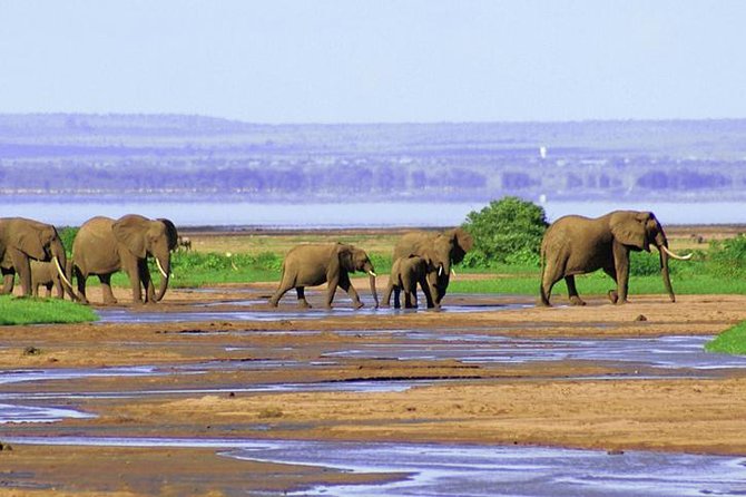 6 Day Serengeti wildebeest migration Camping Safari - Camping, food, and the practical side of the trip
