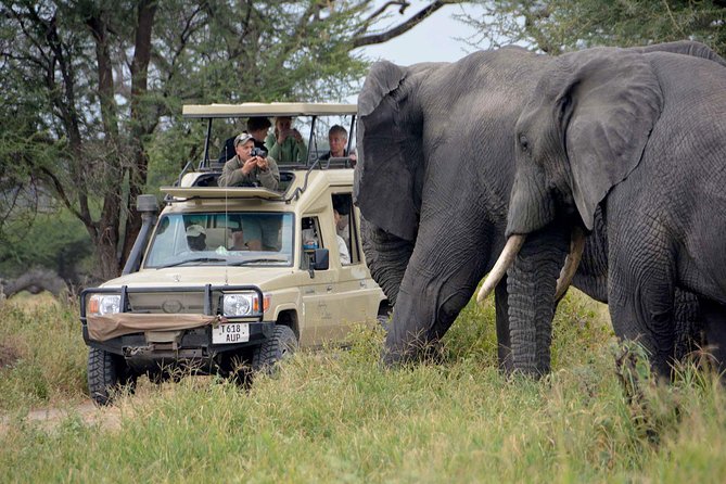 6-Day Tanzania Camping Safari: Lake Manyara, Serengeti, Ngorongoro Cater and Tarangire National Park from Arusha - Why this route works from Arusha