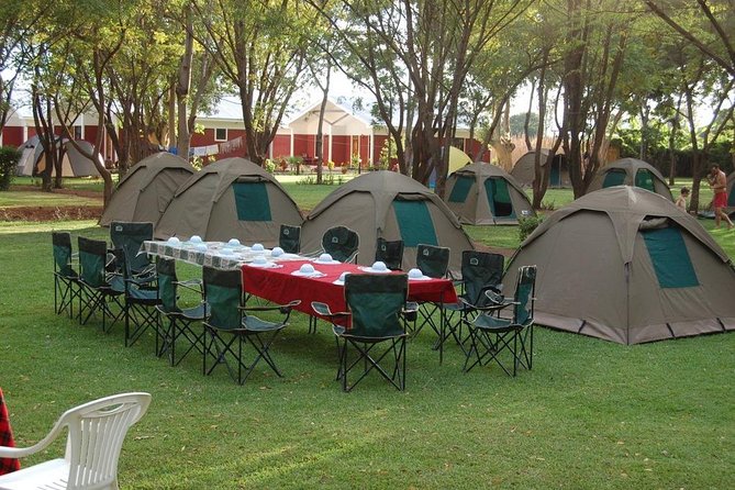 6-Day Tanzania Camping Safari: Lake Manyara, Serengeti, Ngorongoro Cater and Tarangire National Park from Arusha - Day 5: Down into Ngorongoro Crater, then toward Manyara