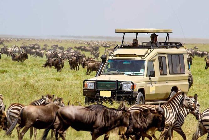 6-Day Tanzania Camping Safari: Lake Manyara, Serengeti, Ngorongoro Cater and Tarangire National Park from Arusha - Day 6: Lake Manyara before the return to Arusha