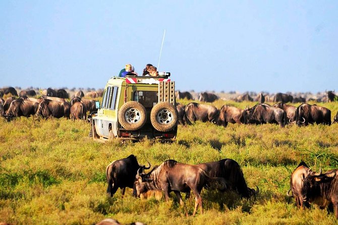 6-Day Tanzania Camping Safari: Lake Manyara, Serengeti, Ngorongoro Cater and Tarangire National Park from Arusha - Day 2: The long road into Serengeti National Park