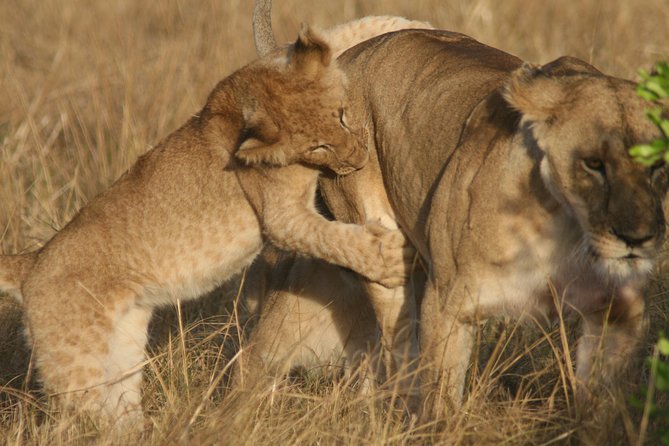 6 Days 5 Night Safari - The route at a glance: Moshi to northern Tanzania