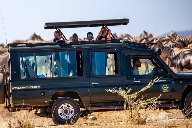 6 Days 5 Night Safari - Day 3: Serengeti and the long search across open plains