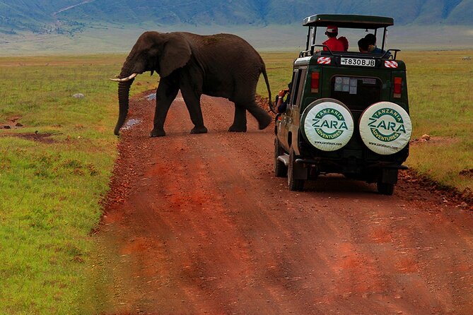 6 Days 5 Night Safari - Guides, meals, and the human side of the trip