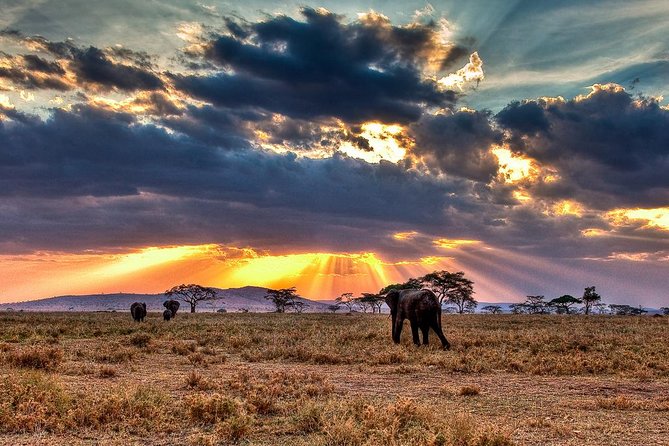 6 Days / 5 Nights Join group safari - Key points at a glance