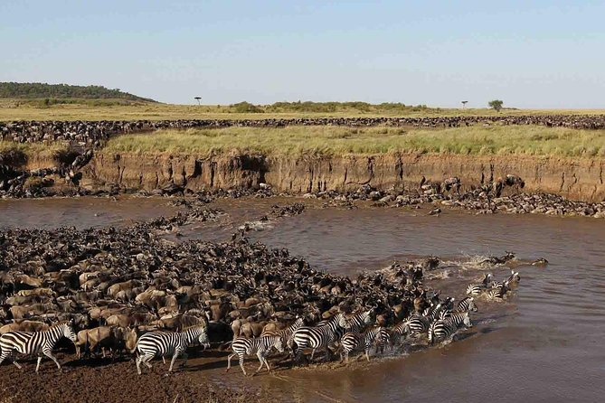 6 Days / 5 Nights Join group safari - Starting in Arusha at 7:00 am