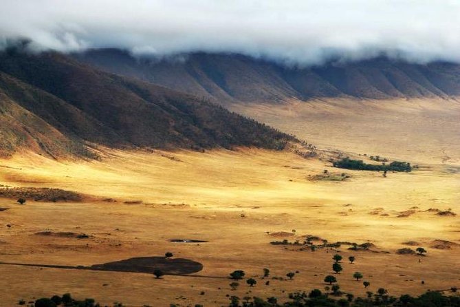 6 Days 5 Nights lodge safari Tarangire, Manyara, Serengeti & Ngorongoro Crater - The big picture: four parks in six days