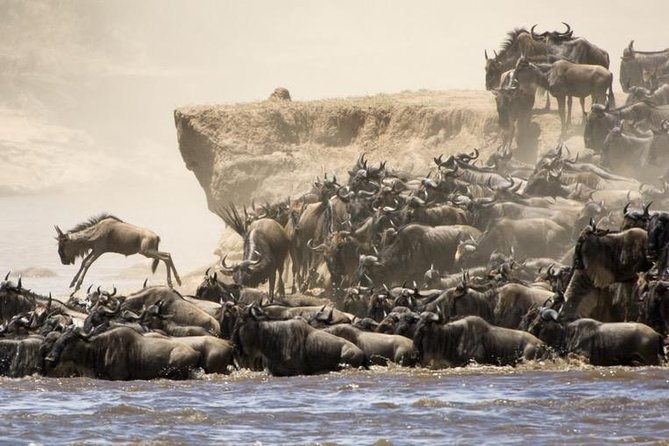 6 Days 5 Nights lodge safari Tarangire, Manyara, Serengeti & Ngorongoro Crater - Day 2: Lake Manyara’s forest and hippo pools