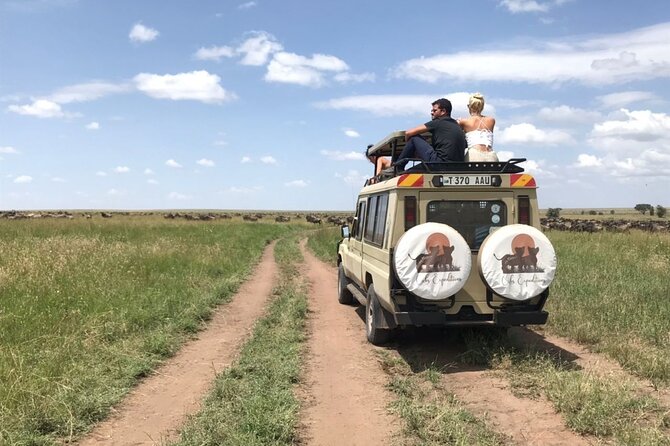 6 days 5 nights safari Ngorongoro, Serengeti and Tarangire National Parks - Day 6: Into the Ngorongoro Crater