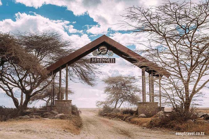 6 days 5 nights safari Ngorongoro, Serengeti and Tarangire National Parks - Day 1: Kilimanjaro Airport to an Arusha hotel