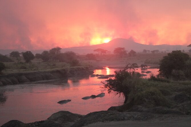6 Days Adventure Towards Serengeti, Ngorongoro and Tarangire - Day 1: Tarangire’s elephants and ancient baobabs