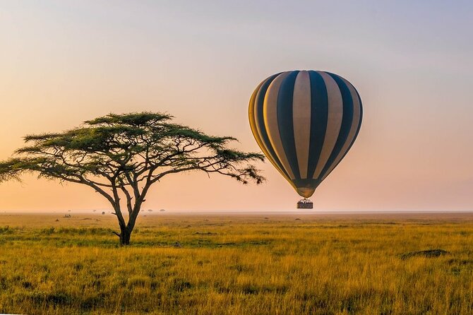 6 Days best adventure kilimanjaro ,Tarangire ,Serengeti &Ngorongoro crater - Why this six-day route works