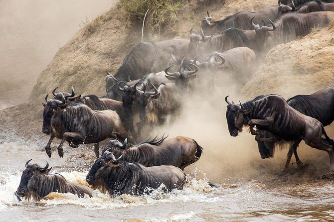 6 Days best adventure kilimanjaro ,Tarangire ,Serengeti &Ngorongoro crater - Day 4: Wildlife on the Ngorongoro Crater floor