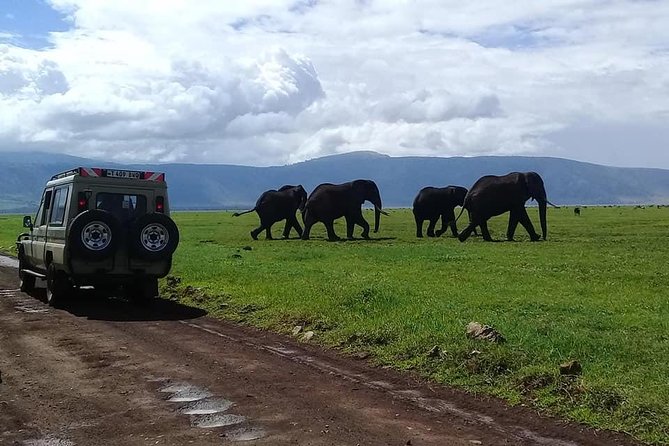 6 Days Budget Tanzania Camping Safari - Day 3: The road to Serengeti