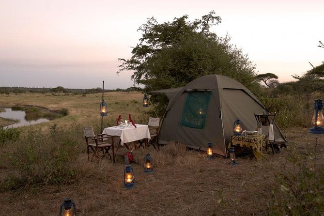 6 Days Budget Tanzania Camping Safari - Day 5: One last Serengeti morning