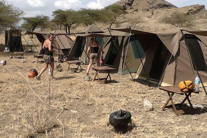 6 Days Budget Tanzania Camping Safari - Day 6: Ngorongoro Crater and the return to Arusha