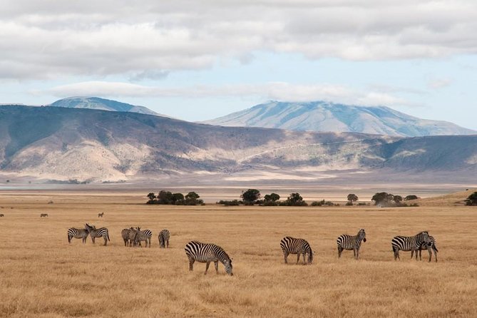 6 Days Budget Tanzania Camping Safari - The people who shape the experience
