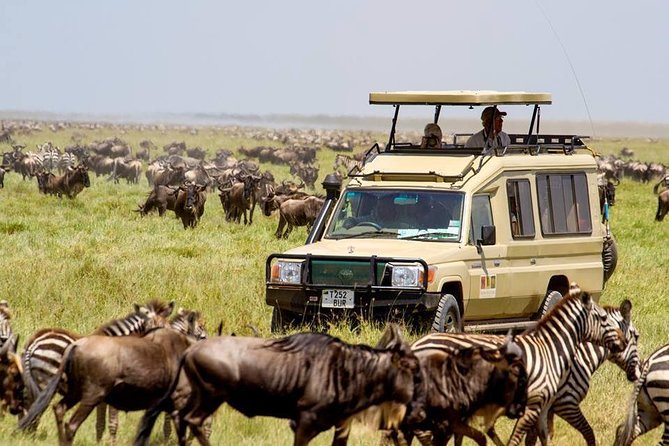 6 Days Budget Tanzania Camping Safari - Day 2: A full day around Lake Manyara