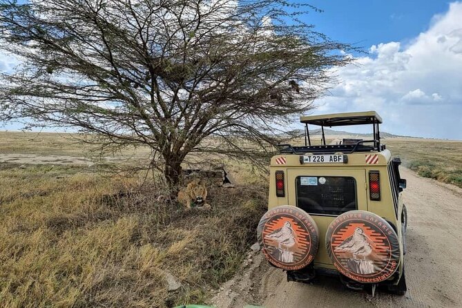 6 Days Budget Tour in Tarangire, Serengeti ,Ngorongoro and Manyara - Key things to know before booking