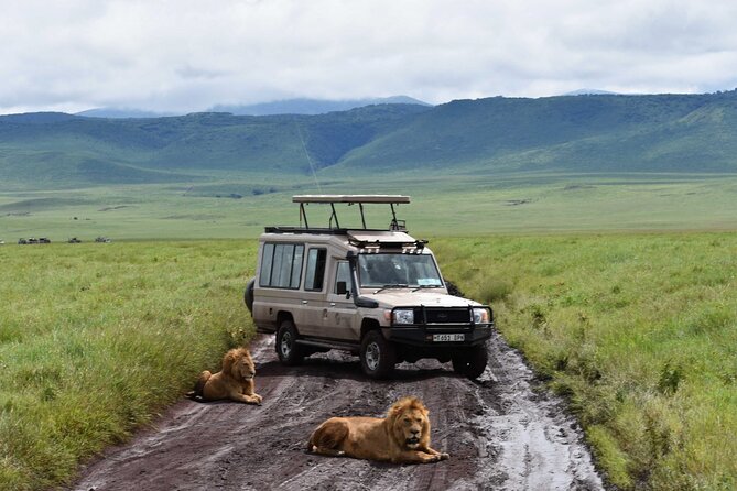 6 Days Budget Tour in Tarangire, Serengeti ,Ngorongoro and Manyara - Day 1: Elephants and big trees in Tarangire