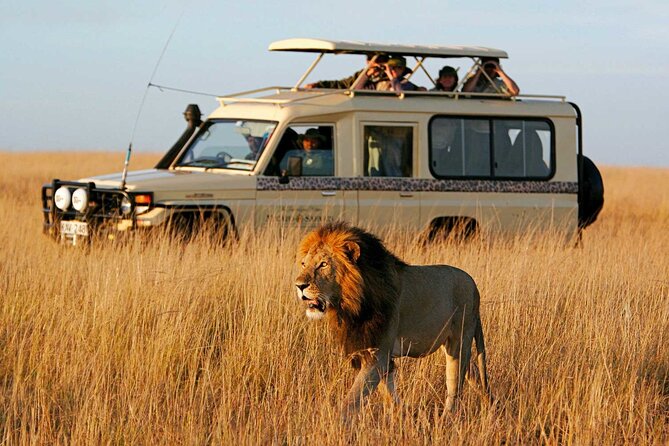 6 Days Budget Tour in Tarangire, Serengeti ,Ngorongoro and Manyara - Day 6: Birds, hippos, and tree-climbing lions at Manyara