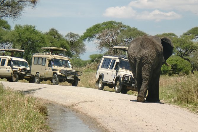 6 Days Camping Tours Lake Manyara, Ngorongoro,Serengeti National Park - Key points to know before booking