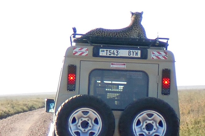 6 Days Camping Tours Lake Manyara, Ngorongoro,Serengeti National Park - Why this six-day route makes sense