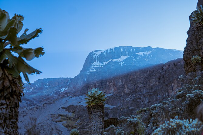6 Days Climb Private Tour in Mount Kilimanjaro - Day 1: Machame Gate to Machame Camp