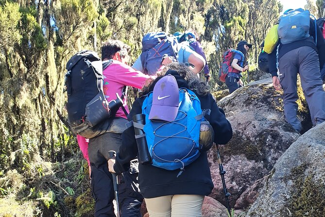 6 Days Climbing Mount Kilimanjaro Machame Route - Day 4: Barranco Wall, Karanga Valley, and Barafu Camp