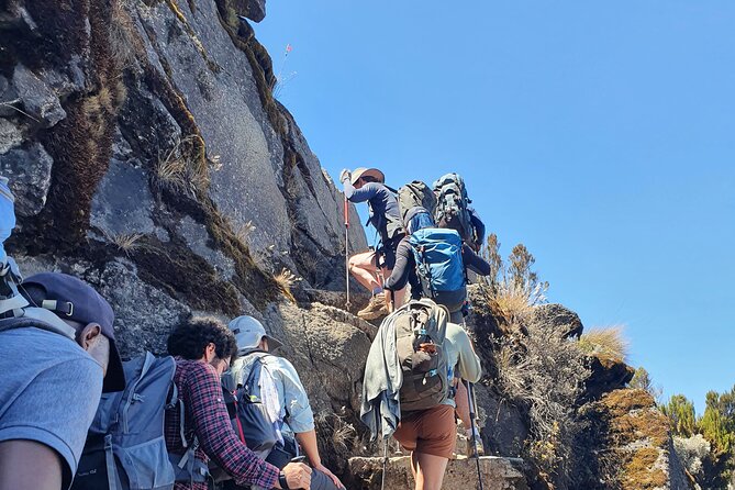 6 Days Climbing Mount Kilimanjaro Machame Route - Day 5: Uhuru Peak and the long descent to Mweka