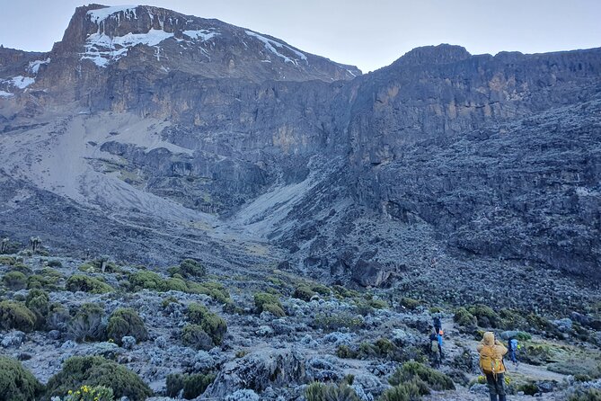 6 Days Climbing Mount Kilimanjaro Machame Route - Day 1: Moshi to Machame Camp through the rainforest