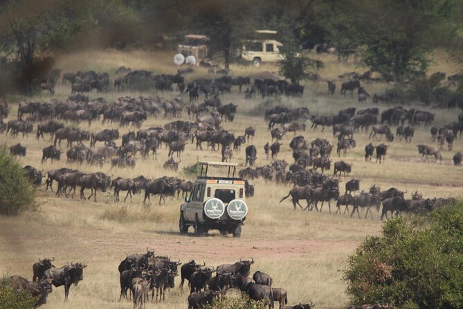 6 Days Enchanting Tanzania Safaris - Mid Range Safari - Day 1: Lake Manyara and the Rift Valley escarpment