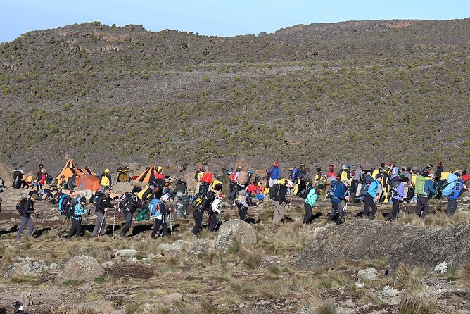 6 Days: Hiking Kilimanjaro via Machame Route - Day 3: Lava Tower and the Barranco Valley