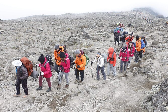 6 Days: Hiking Kilimanjaro via Machame Route - Day 6: A final rainforest walk to Mweka Gate