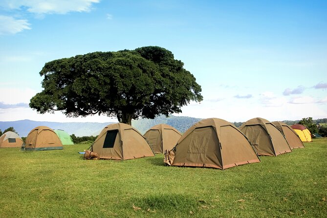 6 Days in the Wild – A Budget Safari Across Tanzania’s Icons - Six details that define this Tanzania safari