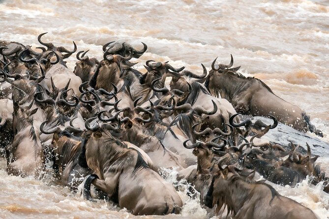 6 Days in the Wild – A Budget Safari Across Tanzania’s Icons - Day four, Maasai culture and the Ngorongoro question