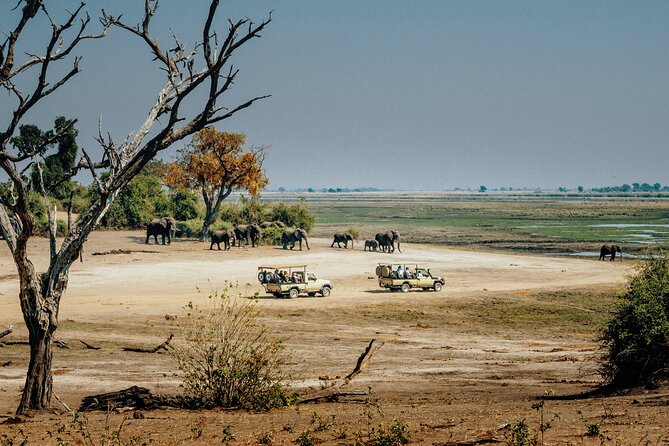 6 Days in the Wild – A Budget Safari Across Tanzania’s Icons - Day six, Materuni village, waterfall, and coffee