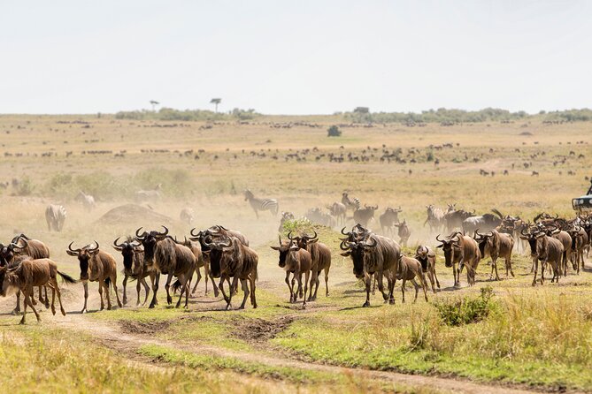 6 Days in the Wild – A Budget Safari Across Tanzania’s Icons - Guides, food, and the human side of the trip
