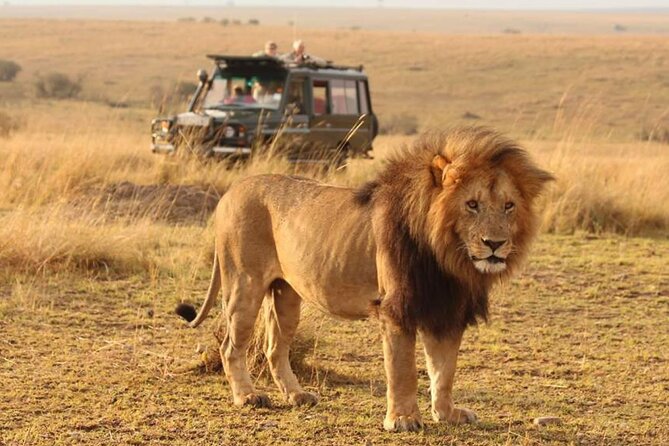 6 Days lodge &camping tour Serengeti ,Tarangire ,Ngorongoro Crater and Manyara - Key points worth knowing