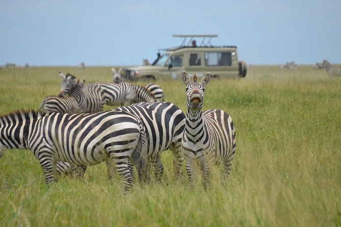 6 Days lodge &camping tour Serengeti ,Tarangire ,Ngorongoro Crater and Manyara - Day 6: Forest, water, and birds at Lake Manyara