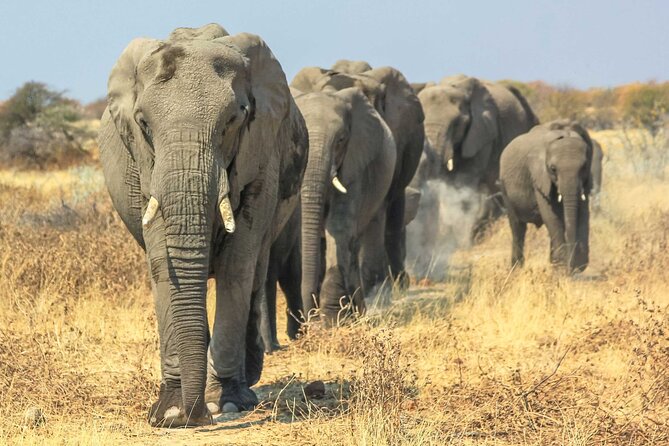 6 Days Lodge & Tented Camp Luxury - The Serengeti Trail & Tarangire - Returning to Arusha and judging the $3,488 price