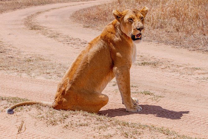 6 Days Luxury Northern Circuit Safari - A Glimpse of Tanzania Adventure - A six-day route with a clear purpose
