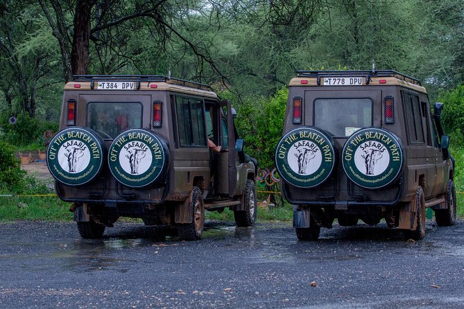 6 Days Luxury Northern Circuit Safari - A Glimpse of Tanzania Adventure - Day 2: Tarangire and the best early wildlife introduction