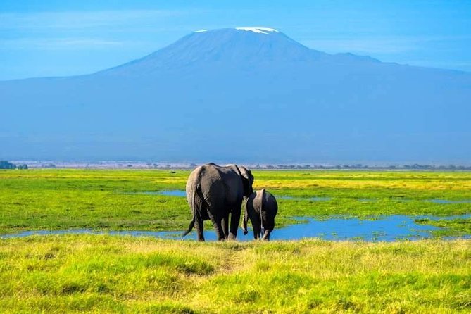 6 days Machame route From Arusha / Kilimanjaro - Day 5: Stella Point, sunrise, and Uhuru Peak