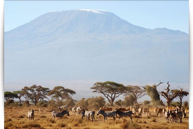 6 days Machame route From Arusha / Kilimanjaro - Day 6: Mweka Trail and the ride back to Moshi