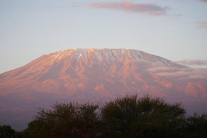 6 days Machame route From Arusha / Kilimanjaro - Day 2: Leaving the rainforest for Shira Camp