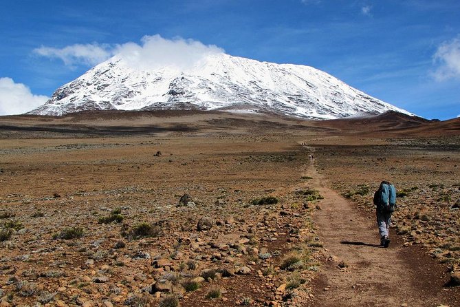 6 Days Marangu Route Kilimanjaro Trekking - Day 1: Rainforest From Marangu Gate to Mandara Hut