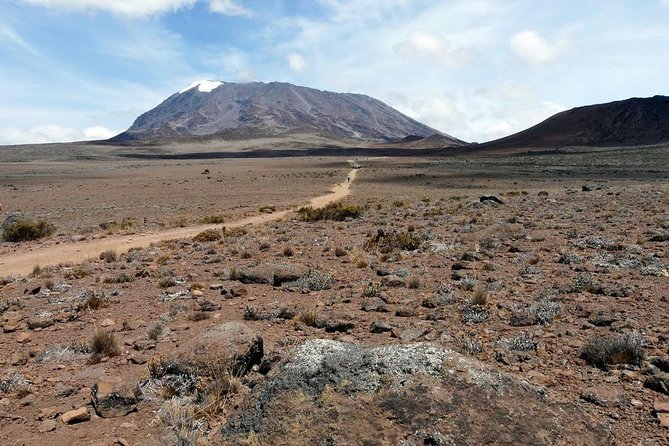 6 Days Marangu Route Kilimanjaro Trekking - Day 2: Maundi Crater and the Moorland at 3,720 Meters
