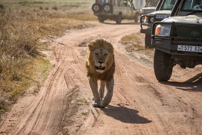 6 Days Private Budget Safari - What $2,300 Per Person Buys You